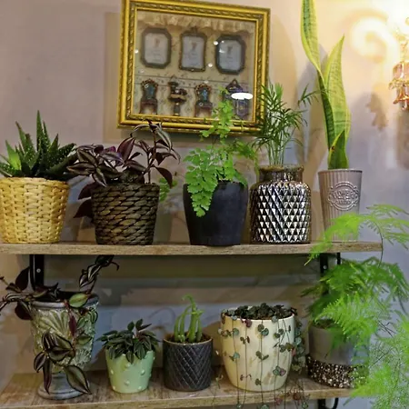 ロマンティック 3* イスタンブール