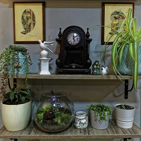 ロマンティック 3*