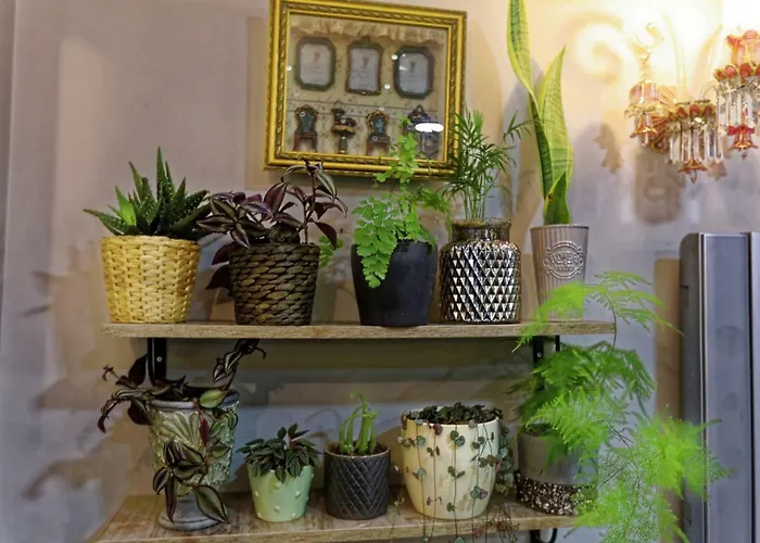 Romantic 3* Стамбул